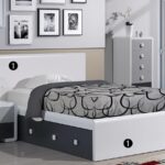Cama-Alvin(3)