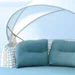 Daybed Dynasty