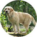 gaspar costa profile picture