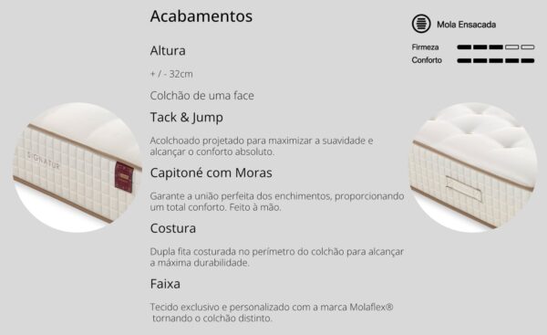 Colchão Signatur Molaflex de molas ensacadas com conforto premium e tecido Damasco | Moveistore